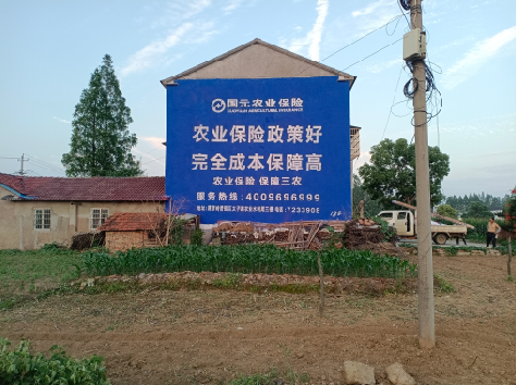  蒙山墙体广告的优劣势你知道吗？